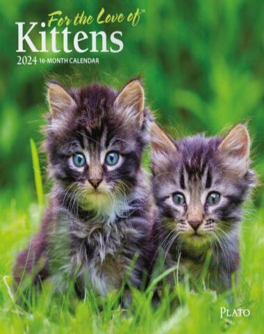 KITTENS FOR THE LOVE OF 2024