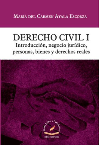 DERECHO CIVIL I INTRODUCCION NEGOCIO JUR