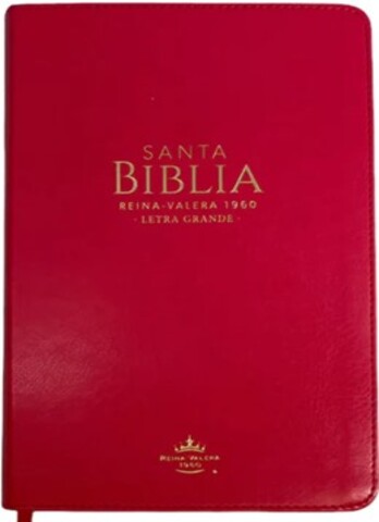 SANTA BIBLIA LG FUCSIA CANTOS DORADOS