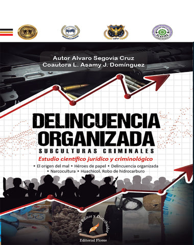 DELICUENCIA ORGANIZADA