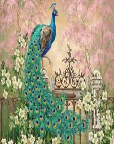 PUZZLE PAVO REAL 260 PZ