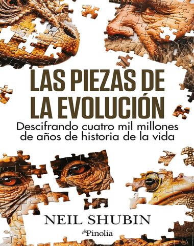 PIEZAS DE LA EVOLUCION