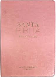 SANTA BIBLIA LETRA SUPER GIGANTE ROSA