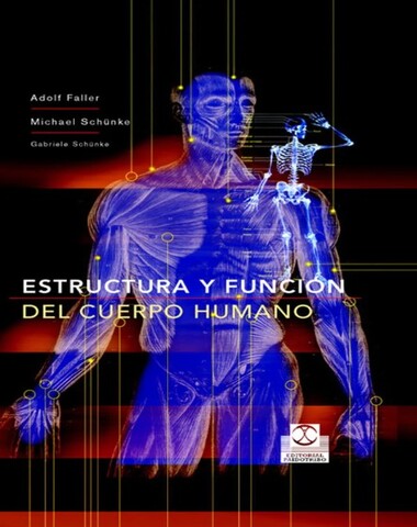 ESTRUCTURA Y FUNCION DEL CUERPO HUMANO