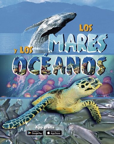 MARES Y LOS OCEANOS, LOS