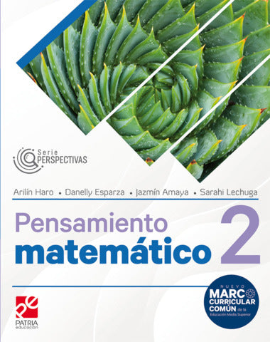 PENSAMIENTO MATEMATICO 2 PERSPECTIVAS