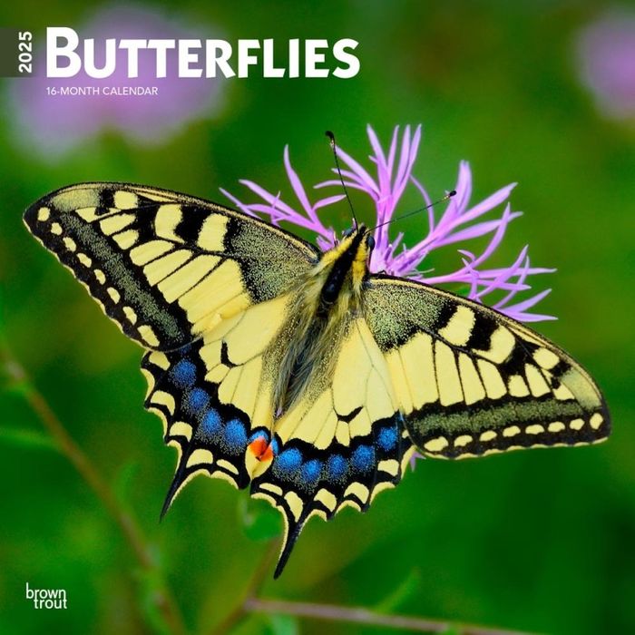CALENDARIO PARED BUTTERFLIES 2025