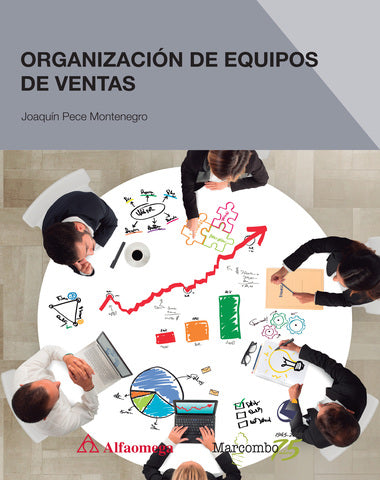 ORGANIZACION DE EQUIPOS DE VENTAS