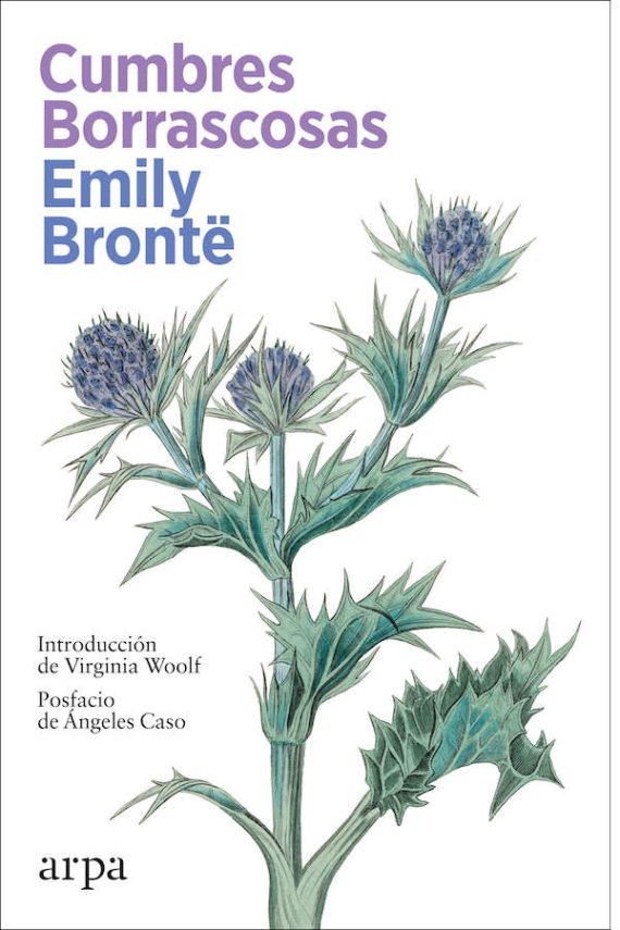 CUMBRES BORRASCOSAS