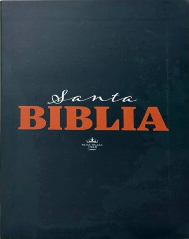 SANTA BIBLIA LG 1960 VINIL NEGRA