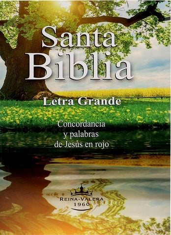 SANTA BIBLIA LG CONCORDANCIA Y PALABRAS