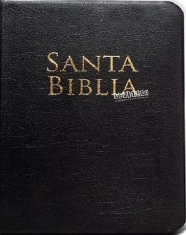 SANTA BIBLIA LETRA GRANDE VINIL NEGRO RV