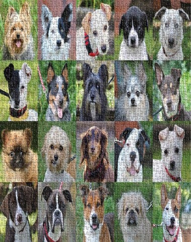 PUZZLE GALISON DOGS 1000 PZ