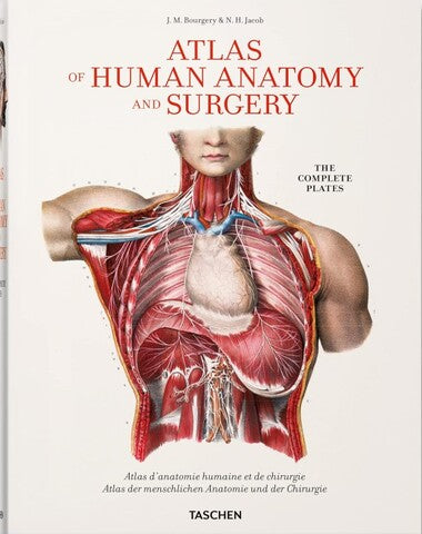 BOURGERY ATLAS OF HUMAN ANATOMY AND SURG