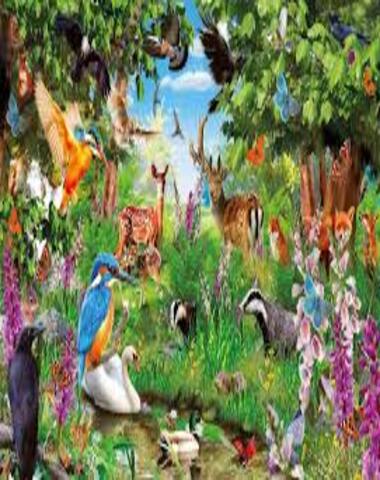 PUZZLE BOSQUE FANTASTICO 2000 PZ