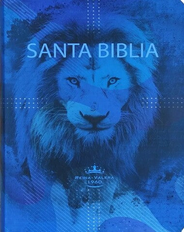 SANTA BIBLIA LEON AZUL CANTOS GRIS