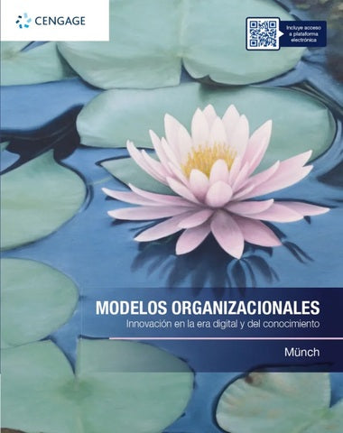 MODELOS ORGANIZACIONALES