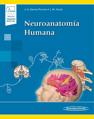 NEUROANATOMIA HUMANA