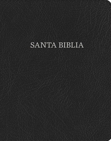 SANTA BIBLIA NVI COLOR NEGRO CANTOS GRIS