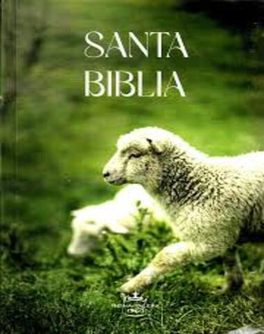SANTA BIBLIA CORDERO VERDE RUSTICA