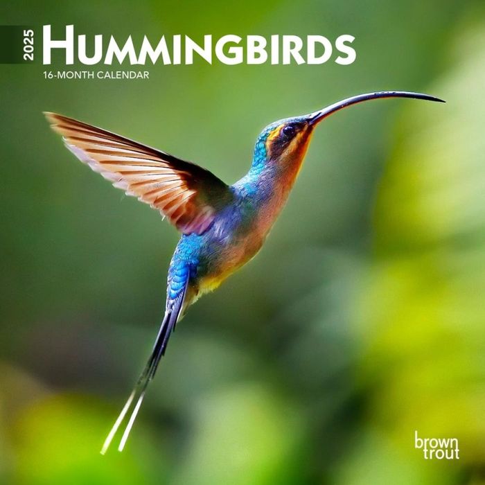 MINI CALENDARIO HUMMINGBIRDS 2025