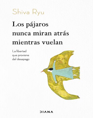PAJAROS NUNCA MIRAN ATRAS MIENTRAS