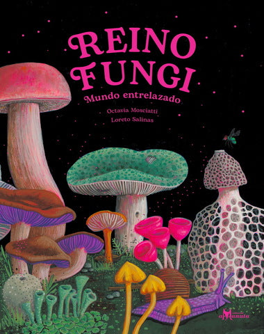 REINO FUNGI MUNDO ENTRELAZADO