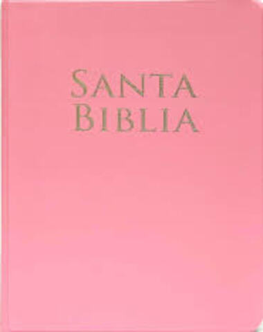 SANTA BIBLIA LETRA GRANDE ROSA VINIL