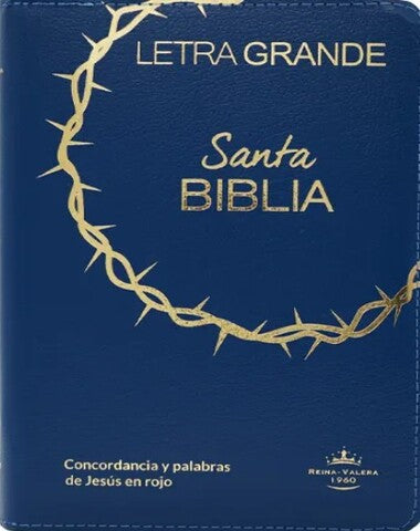 SANTA BIBLIA GRANDE VINIL COLOR AZUL