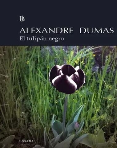 TULIPAN NEGRO, EL