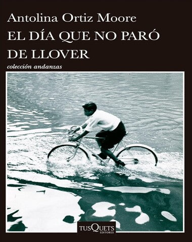 DIA QUE NO PARO DE LLOVER, EL