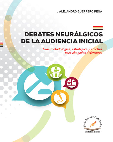 DEBATES NEURALGICOS DE LA AUDIENCIA INIC