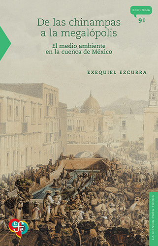 DE LAS CHINAMPAS A LA MEGALOPOLIS
