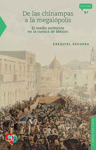 DE LAS CHINAMPAS A LA MEGALOPOLIS