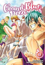 GRAND BLUE DREAMING VOL 11