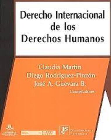 DERECHO INTERNACIONAL DE LOS DERECHO HUM