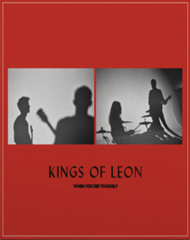 LP KINGS OF LEON / WHEN YOU SEE YOURSELF
