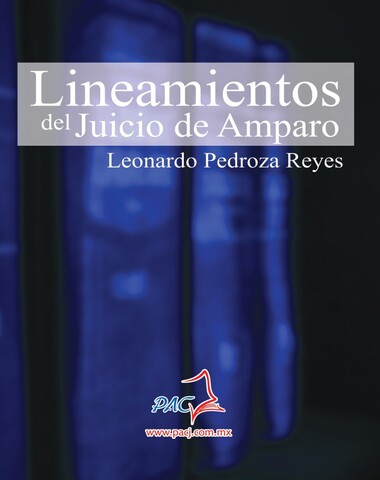 LINEAMIENTOS DEL JUICIO DE AMPARO