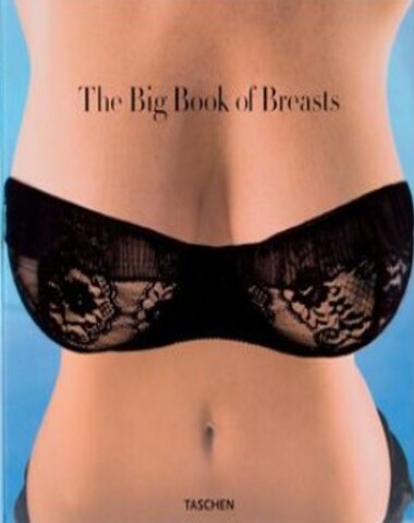 THE BIG BOOK OF BREASTS