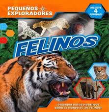 FELINOS PEQUEÑOS EXPLORADORES