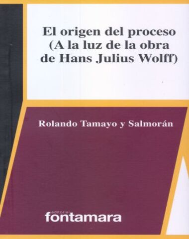 ORIGEN DEL PROCESO