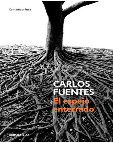 ESPEJO ENTERRADO, EL