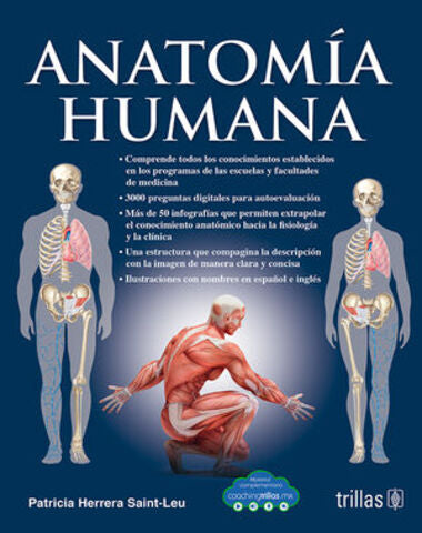 ANATOMIA HUMANA