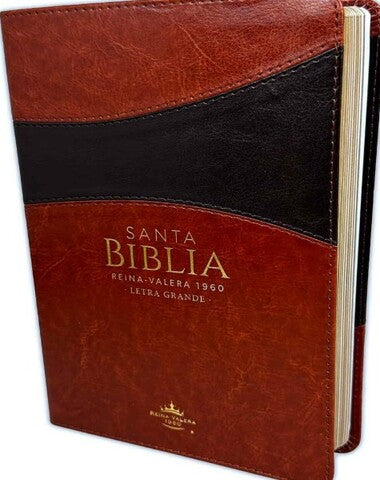 SANTA BIBLIA REINA VALERA 60 LG