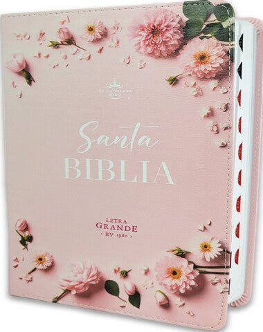 SANTA BIBLIA FLORES ROSAS RV LG