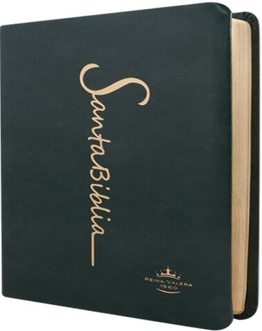 SANTA BIBLIA LETRA GRANDE PIEL VERDE