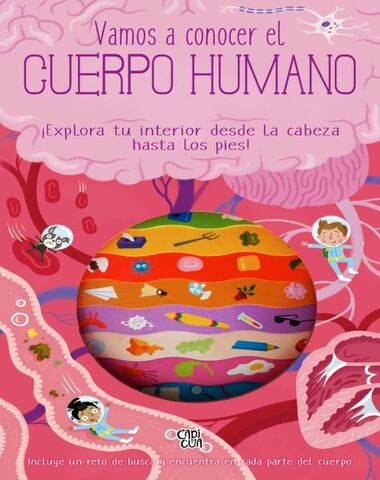 VAMOS A CONOCER EL CUERPO HUMANO