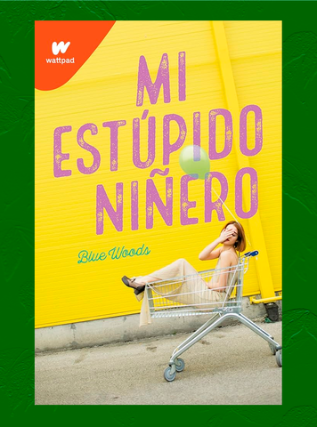 MI ESTUPIDO NIÑERO