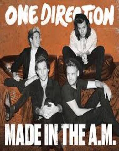 LP ONE DIRECTION / MADE IN AM
