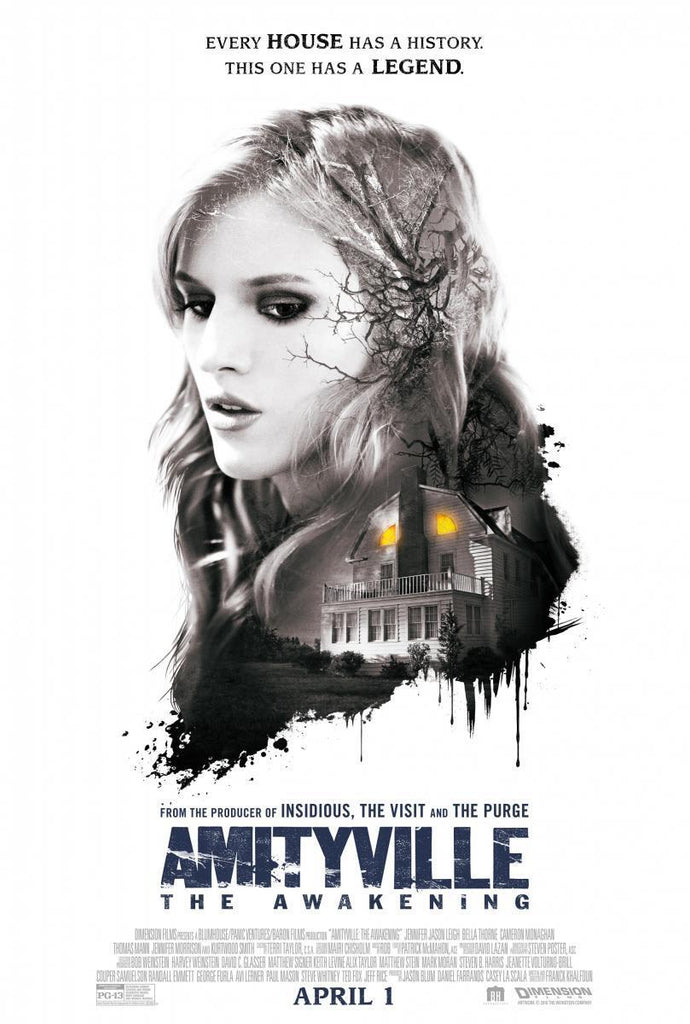 AMITYVILLE EL DESPERTAR